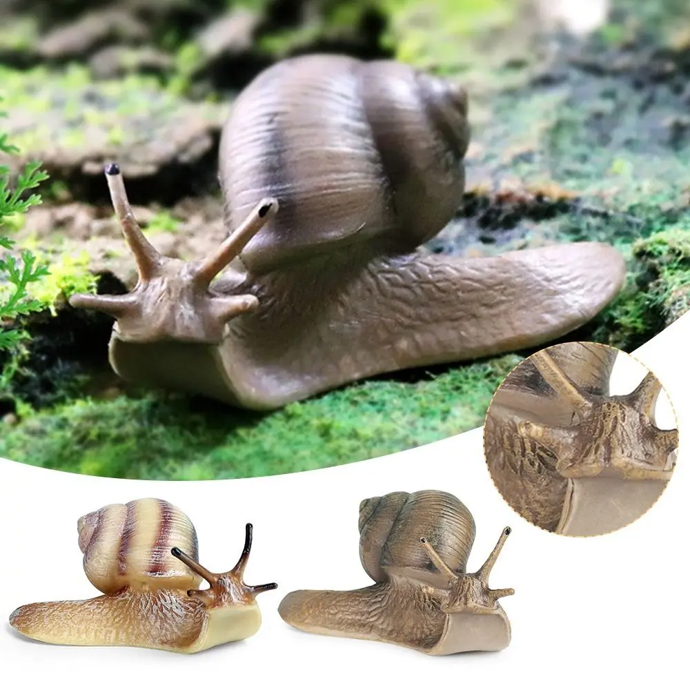 새로운 달팽이를 입상 장난감 Mini 동물에 대한 수치정원 마이크로 장식 달팽이는 조각 고딕 양식의 장식 달팽이 동상 Pati